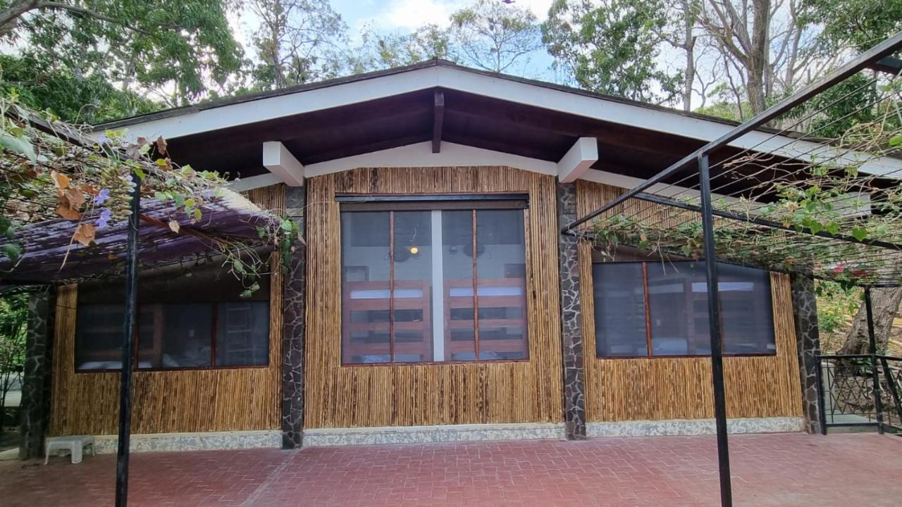 Paradiso Hostel La Laguna Εξωτερικό φωτογραφία